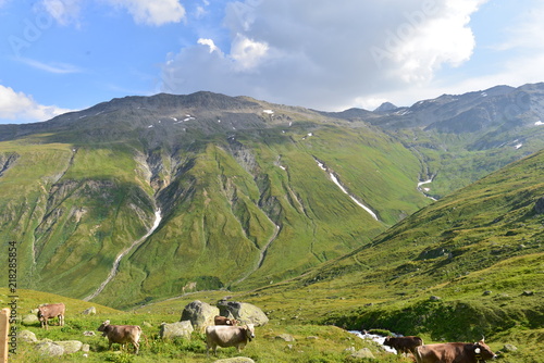 Quellgebiet der Reuss im Gotthardmassiv 