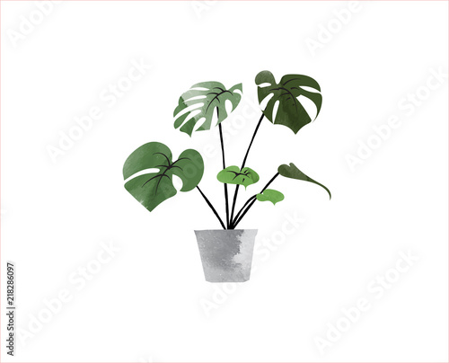 philodendron watercolor illustration. potted house plant. interior design element.