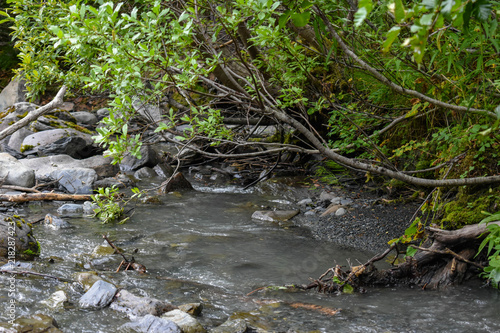 Bertha Creek, Alaska