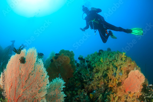 A SCUBA diver swimming over a beautiful and colorful tropical coral reef
