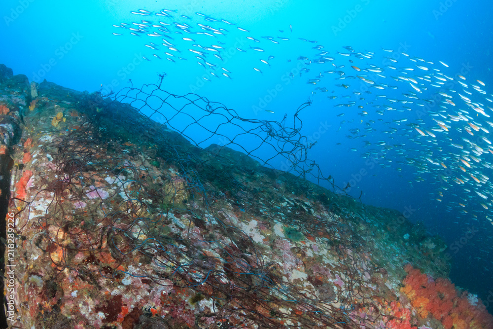 A ghost fishing net snagged on corals on a tropical reef in Myanmar