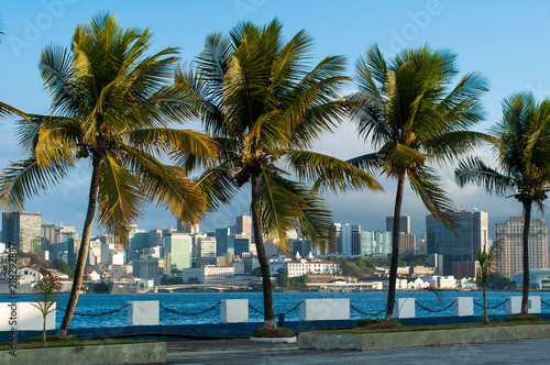Rio de Janeiro City Downtown View Through Palm Trees © Donatas Dabravolskas