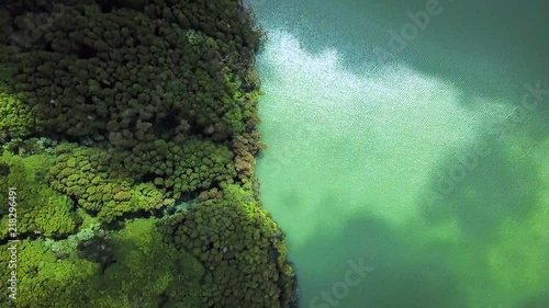 Topdown Aerial Shot along the lake and forest in Sete Cidades, Azores. Portugal photo