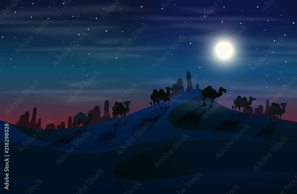 Camel in desert at night