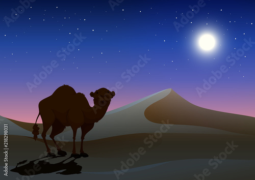 Camel in desert at night