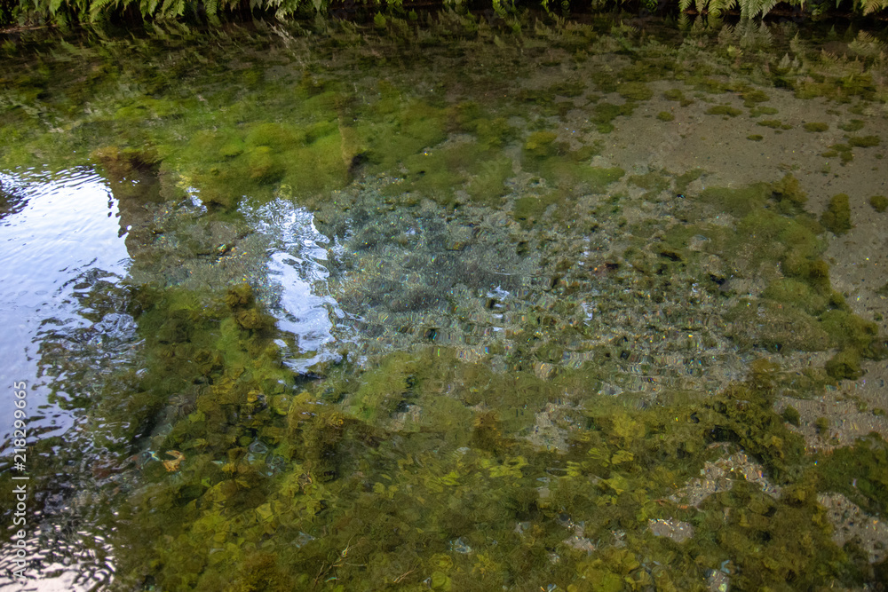 川 川