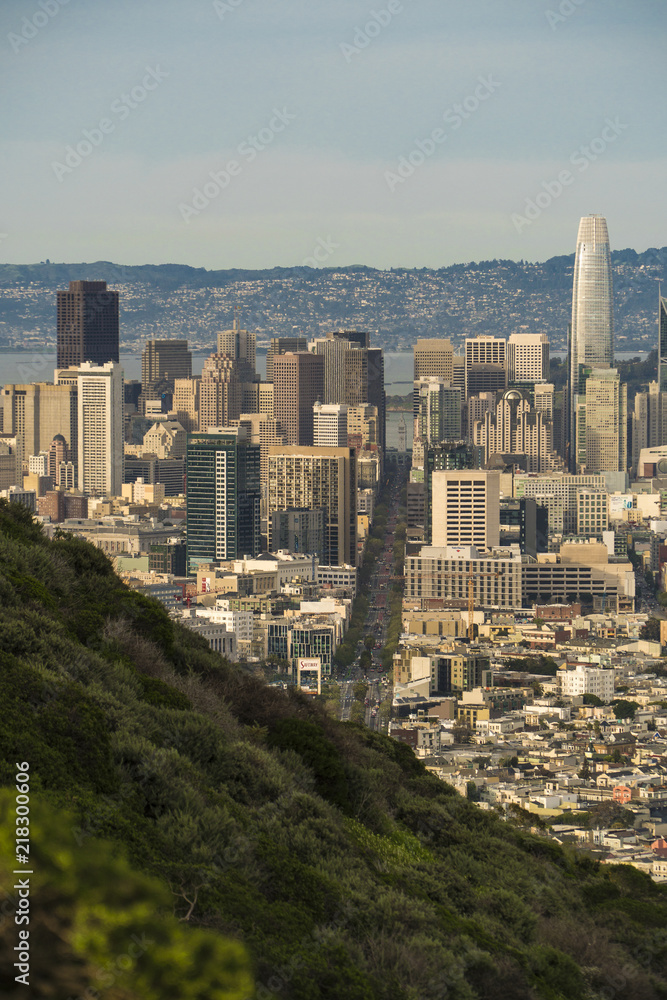 Fototapeta premium California