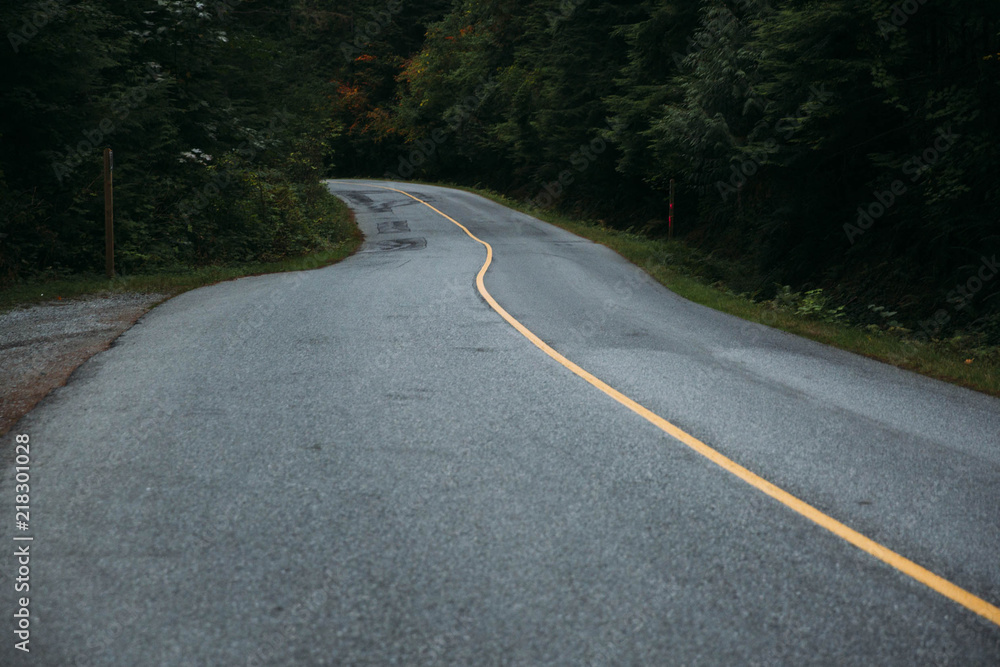 Forest Road in Pacific Northwest