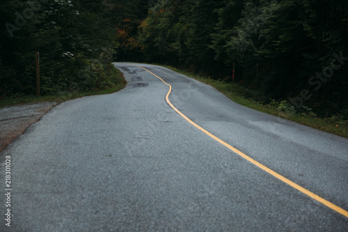 Wallpaper Mural Forest Road in Pacific Northwest Torontodigital.ca