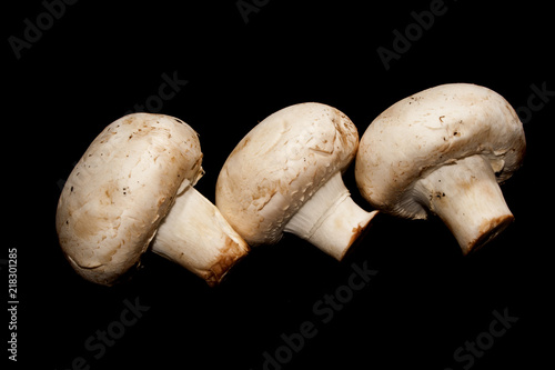 mushrooms isolated on a black background