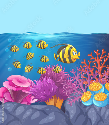 School of fish in coral reef
