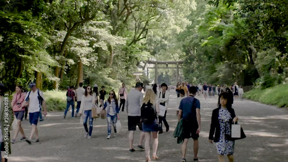 Time lapse of walking walking to Meji Shrine, Tokyo, Japan Time lapse of walking walking to Meji Shrine, Tokyo, Japan