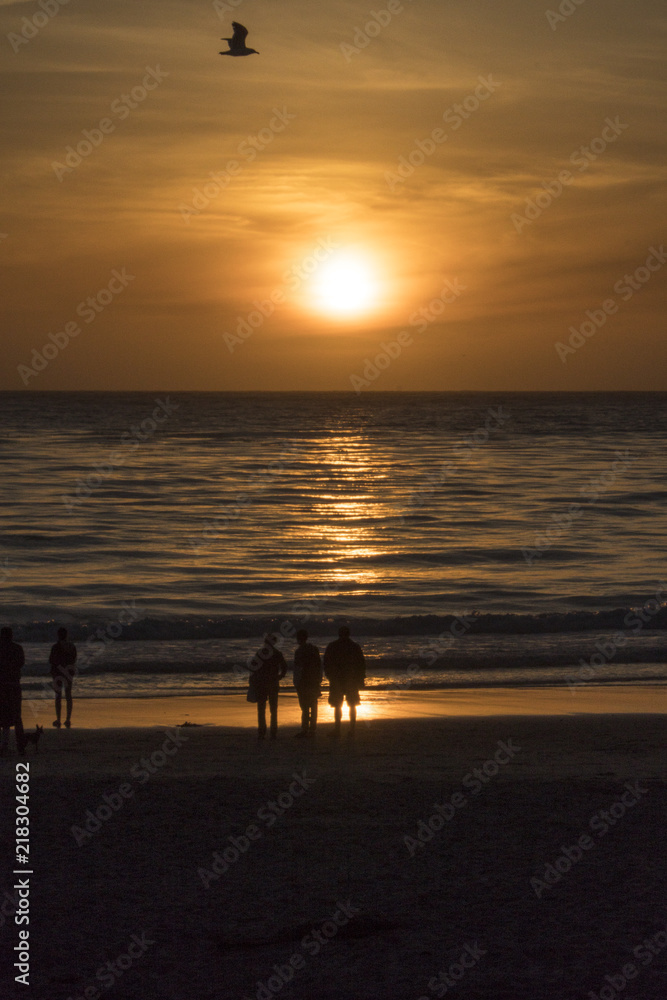 Fototapeta premium California