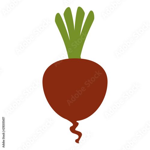 fresh beet vegetarian food