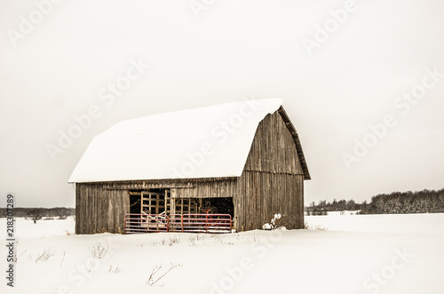 Fotografie Brown Barn with a Red Gate