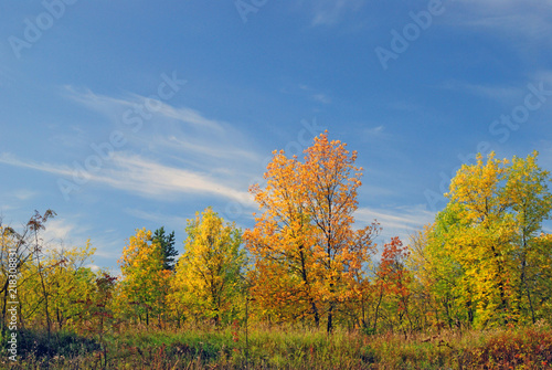 russian autumn landscape