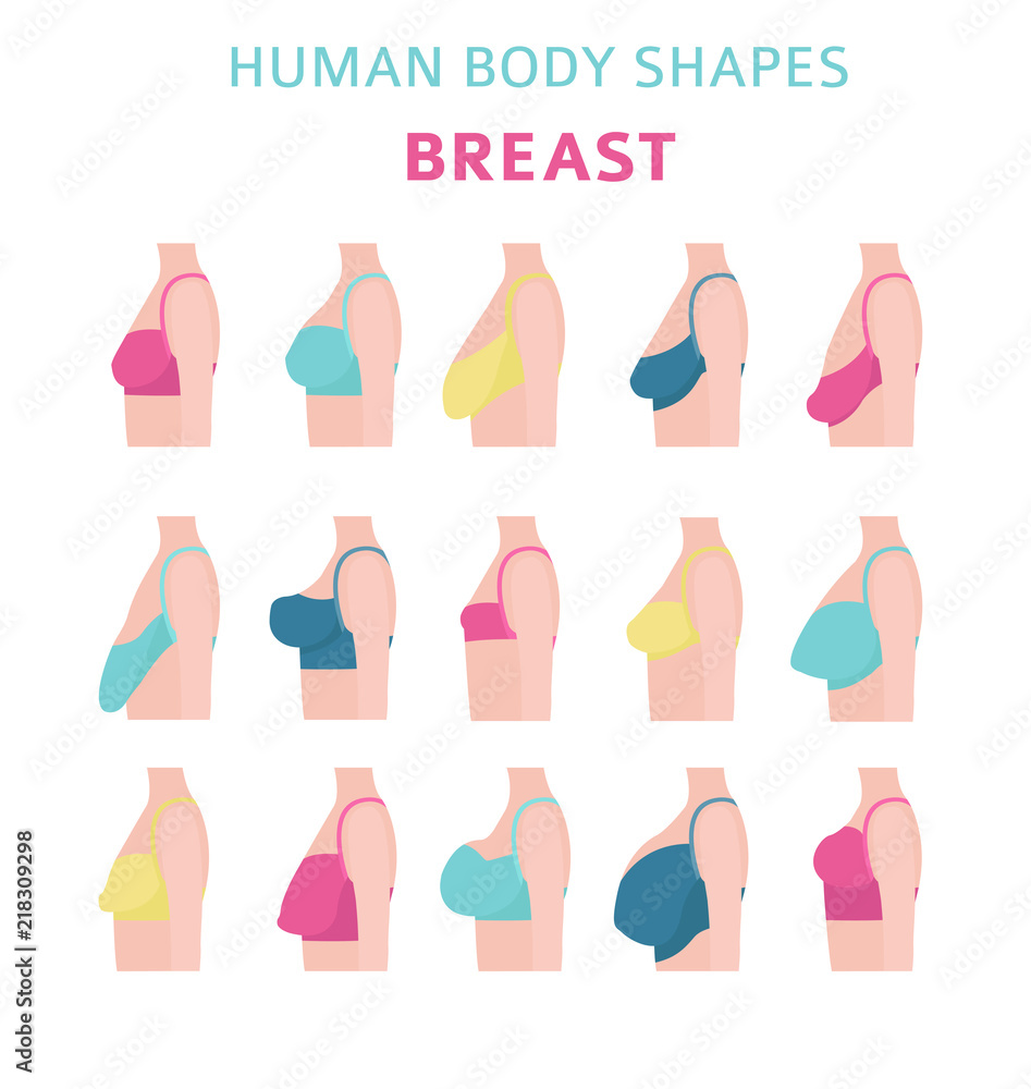 Vetor do Stock: Human body shapes. Woman breast form set. Bra types