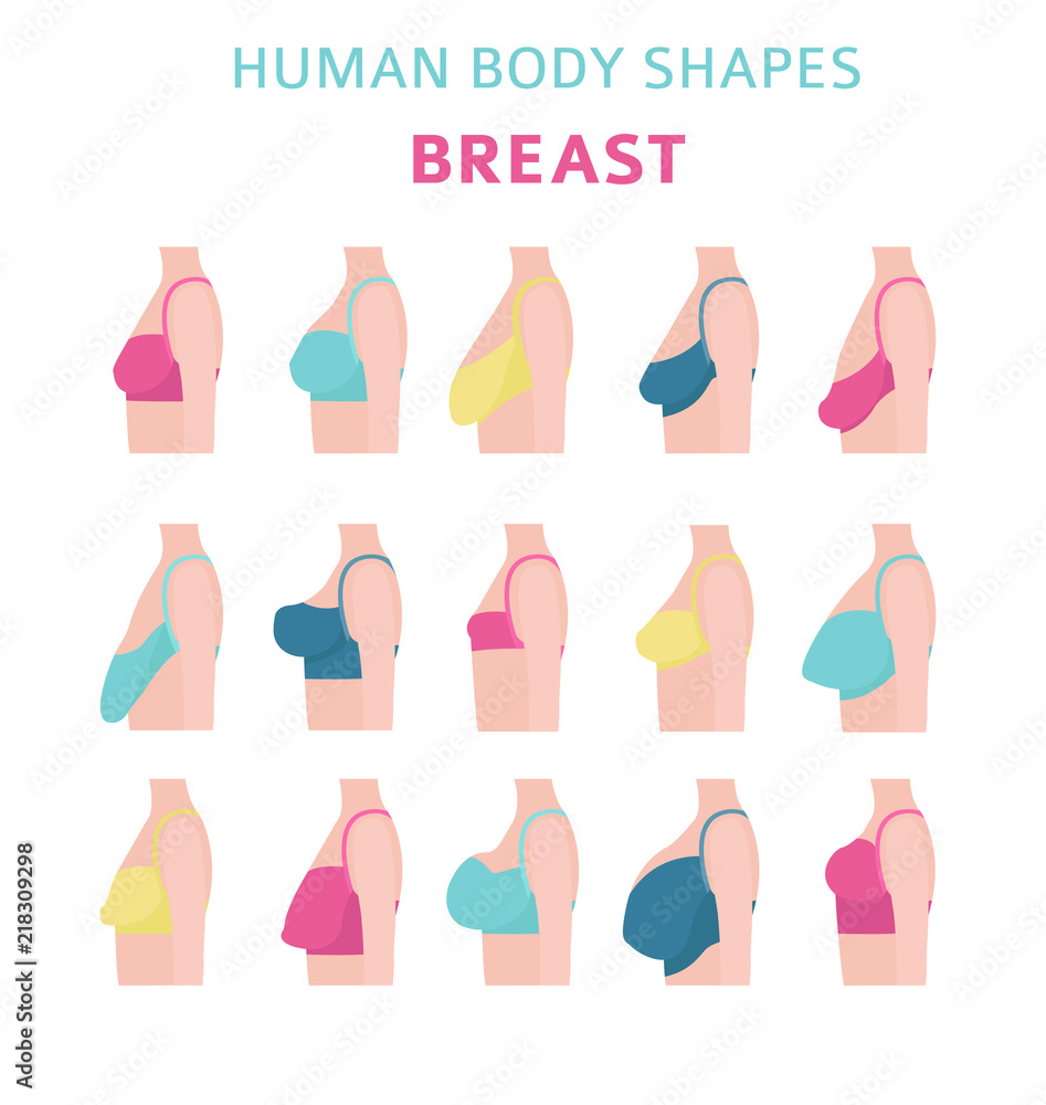 Why Are Women s Breasts Different Sizes At Cameron Fields Blog
