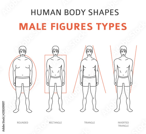 Human body shapes. Male figures types set
