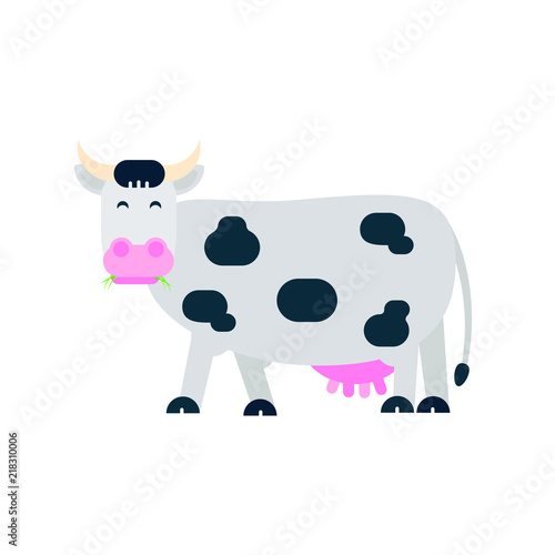 Black white spotted cow stand and chew with grass in its mouth flat style vector illustration isolated on white background. Symbol of the milk producing