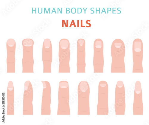 Human body shapes. Hand finger nail types set