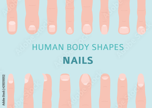 Human body shapes. Hand finger nail types set
