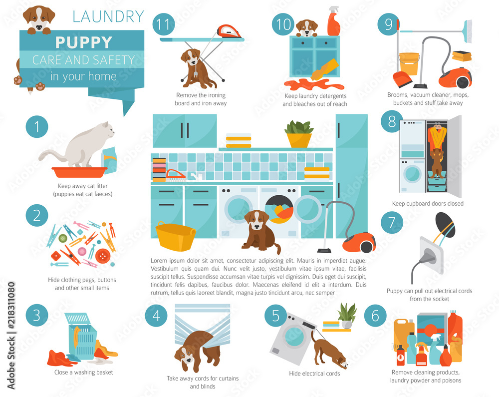 Puppy care and safety in your home. Laundry. Pet dog training infographic design