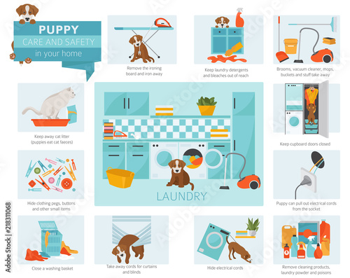 Puppy care and safety in your home. Laundry. Pet dog training infographic design