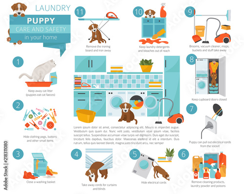 Puppy care and safety in your home. Laundry. Pet dog training infographic design