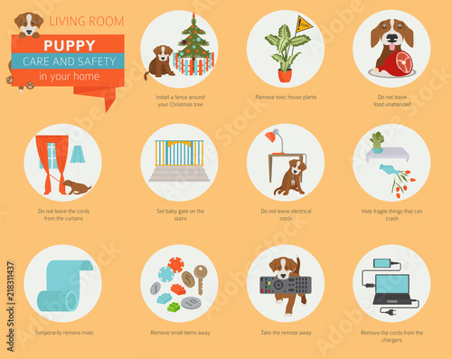 Puppy care and safety in your home. Living room. Pet dog training infographic design