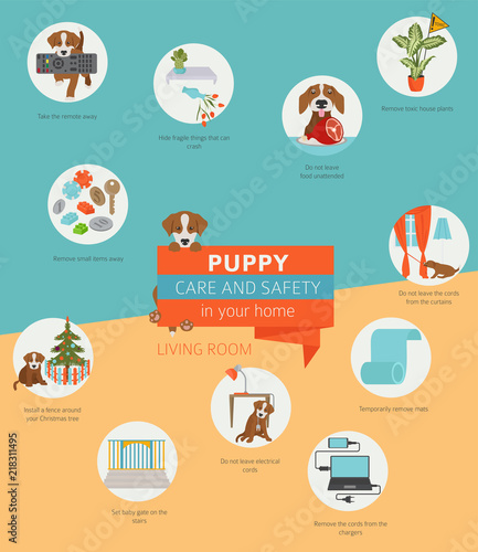 Puppy care and safety in your home. Living room. Pet dog training infographic design