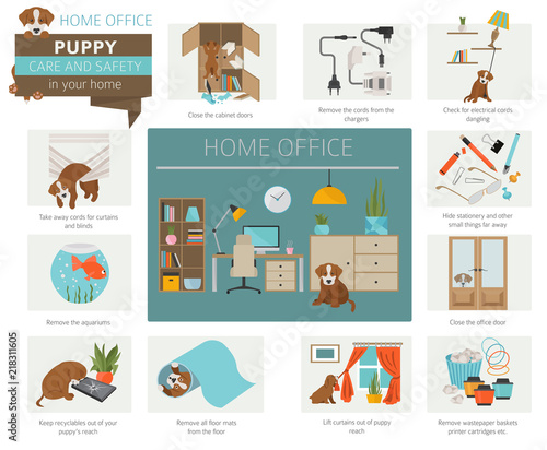 Puppy care and safety in your home. Home office. Pet dog training infographic design