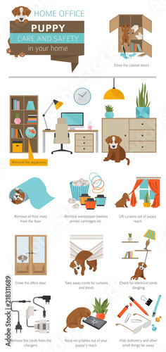 Puppy care and safety in your home. Home office. Pet dog training infographic design