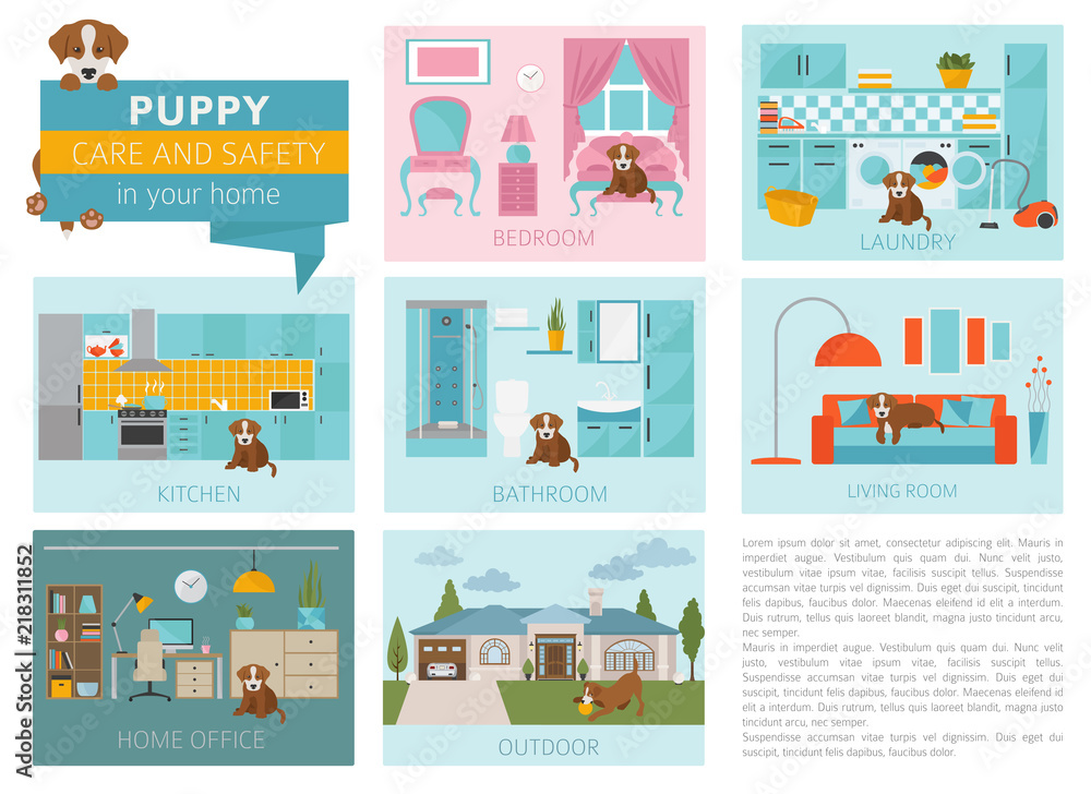 Puppy care and safety in your home. Pet dog training infographic design