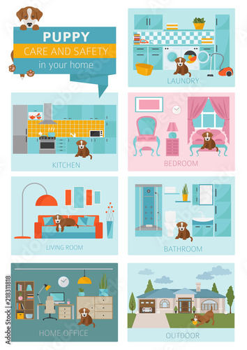 Puppy care and safety in your home. Pet dog training infographic design