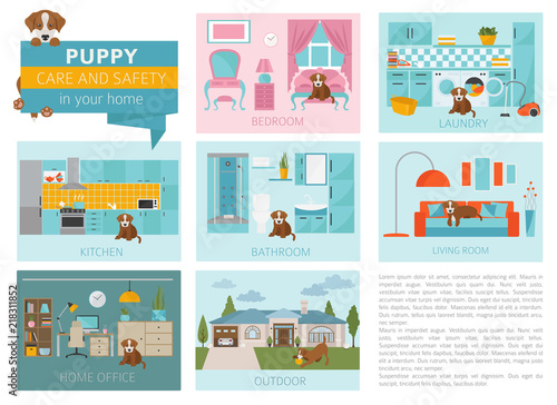 Puppy care and safety in your home. Pet dog training infographic design © a7880ss