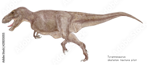 ティラノサウルス骨格図の肉付けイラスト画像 体色は大型の肉食恐竜であることから目立たない体色に抑えている Stock Illustration Adobe Stock