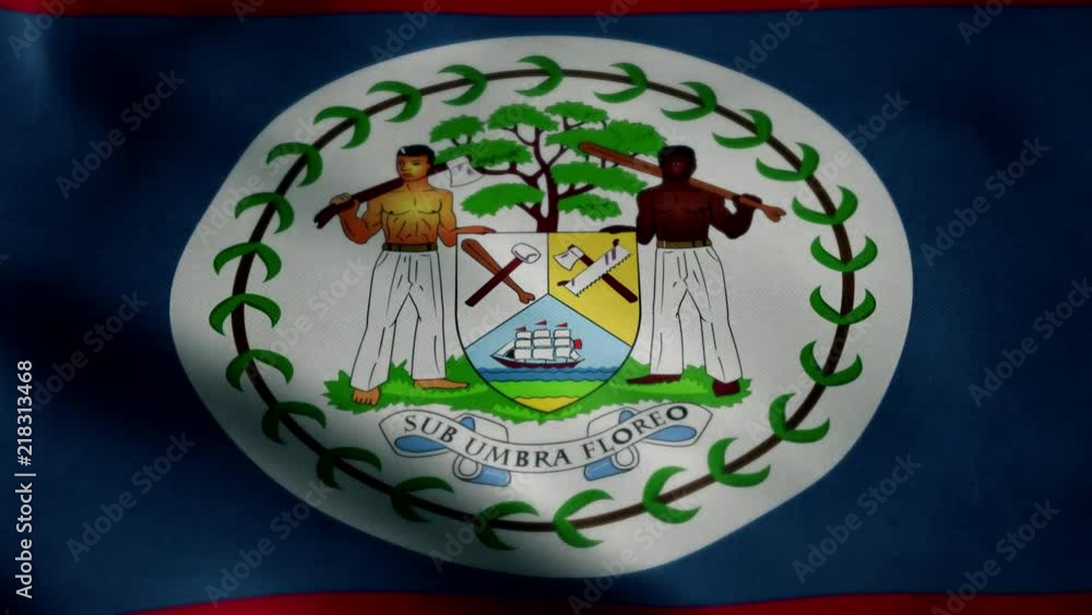 Flag of Belize, slow motion waving. Looping animation. Ideal for sport events, led screen, international competitions, motion graphics etc Flag of Belize, slow motion waving. Looping animation. Ideal for sport events, led screen, international competitions, motion graphics etc