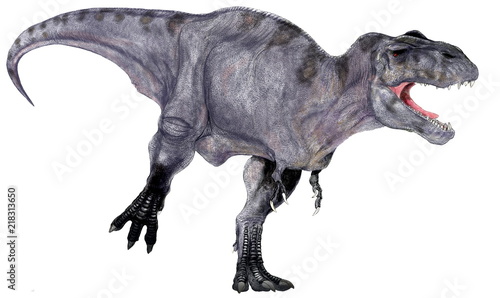 ティラノサウス・レックス。白亜紀の肉食恐竜、再現骨格に肉付けする手法で描いたイラスト画像です。 　　　　　ID : 215220394画像の口を開けている画像になっています。 © Mineo
