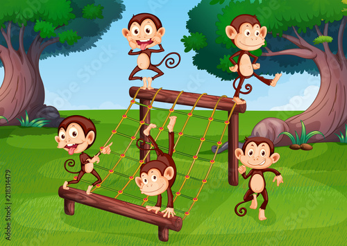 A grop of monkey playing at playground