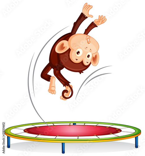 A monkey jumping on trampoline