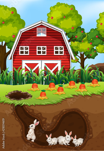 A group of rabbit living underground