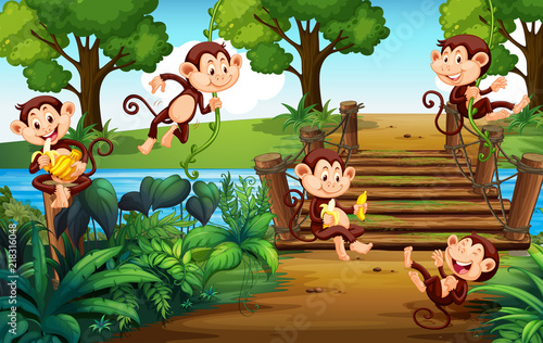 A group of monkey  at the park