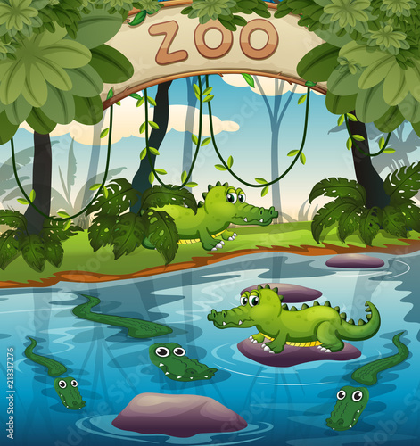 Crocodile in the zoo