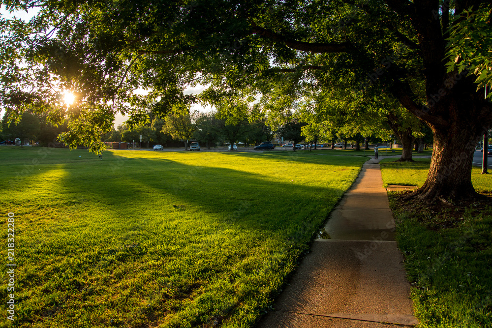 Obraz premium Bright afternoon in the neighborhood park 