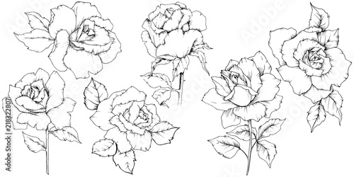 Rose flower in a vector style isolated. Full name of the plant: rose. Vector flower for background, texture, wrapper pattern, frame or border.