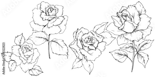 Rose flower in a vector style isolated. Full name of the plant: rose. Vector flower for background, texture, wrapper pattern, frame or border.