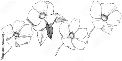 Wild rose in a vector style isolated. Full name of the plant: rose. Vector flower for background, texture, wrapper pattern, frame or border.