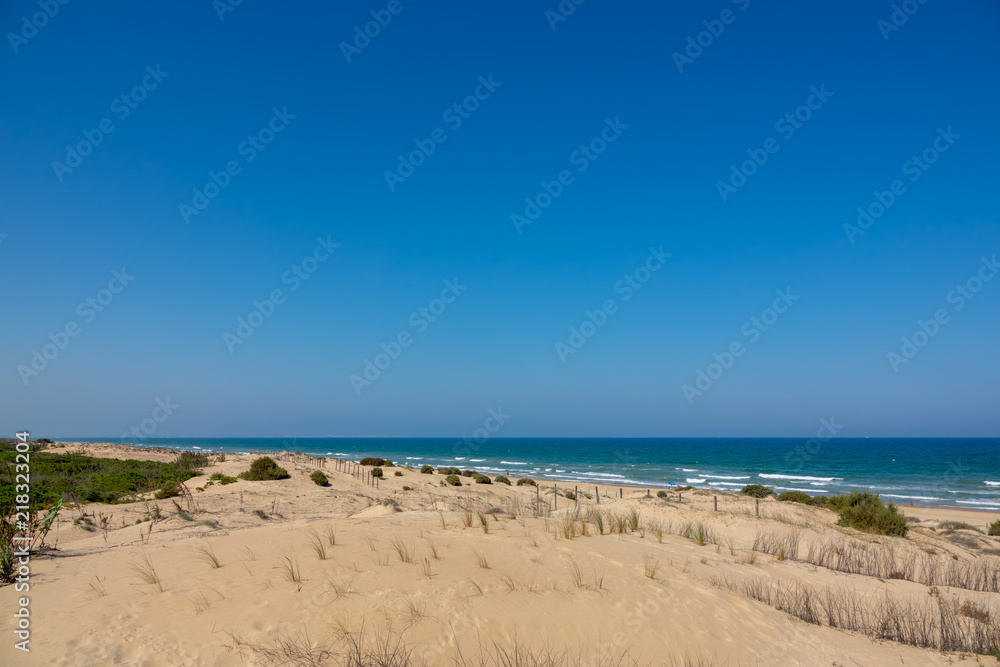 Long sandy beach, ocean and blue sky