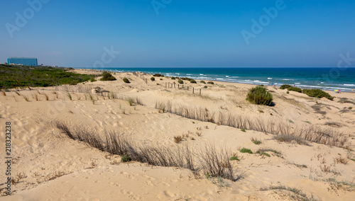 Long sandy beach called Playa El Moncayo. Green bushes, blue sea and sky.